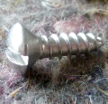 SelfTapping slotted